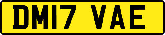 DM17VAE