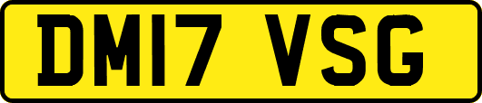 DM17VSG