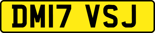DM17VSJ