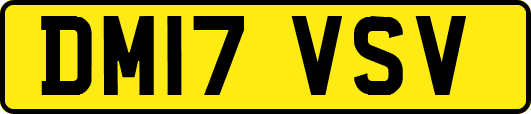 DM17VSV