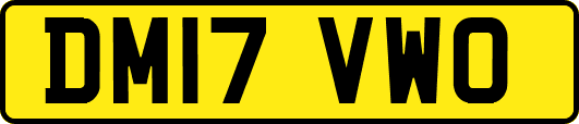 DM17VWO