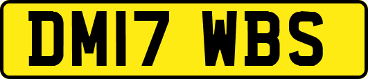 DM17WBS