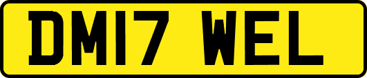 DM17WEL