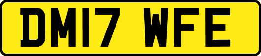 DM17WFE