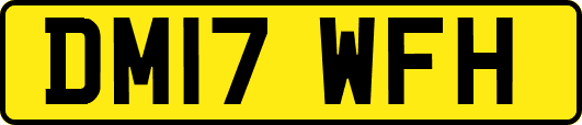 DM17WFH