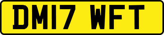 DM17WFT