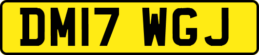 DM17WGJ
