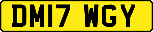 DM17WGY