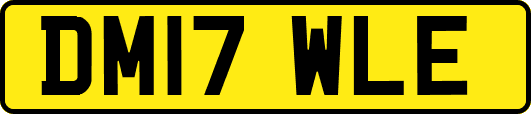 DM17WLE