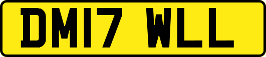 DM17WLL