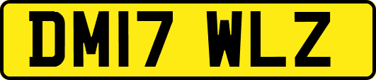 DM17WLZ