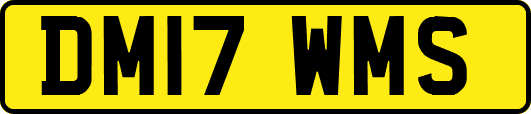 DM17WMS