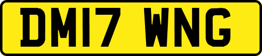 DM17WNG