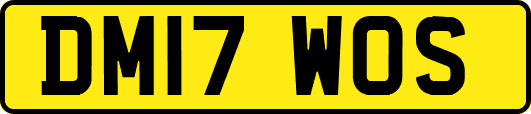 DM17WOS
