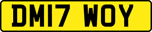 DM17WOY