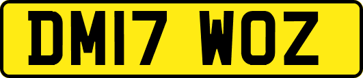 DM17WOZ