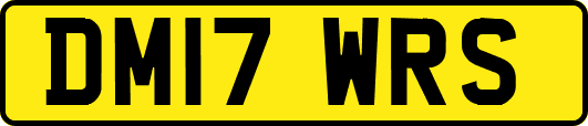 DM17WRS