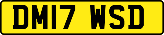DM17WSD
