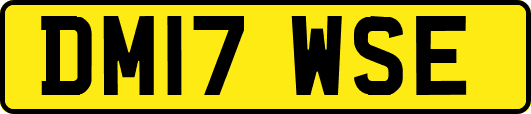 DM17WSE