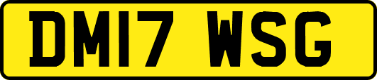 DM17WSG