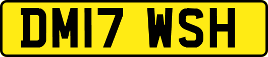 DM17WSH