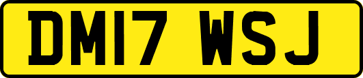 DM17WSJ