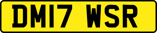 DM17WSR