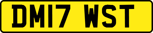DM17WST