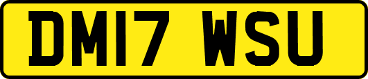 DM17WSU