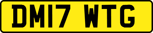 DM17WTG