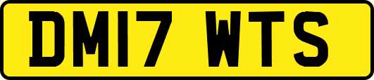 DM17WTS