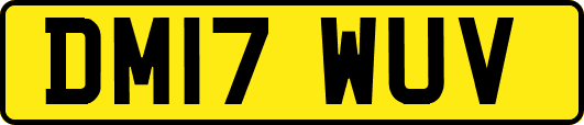 DM17WUV