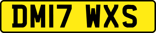 DM17WXS