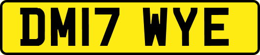 DM17WYE