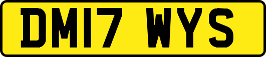 DM17WYS