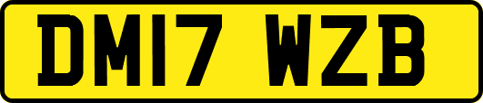 DM17WZB