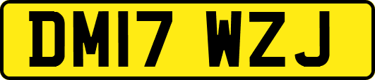DM17WZJ