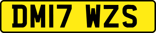 DM17WZS