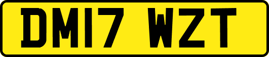 DM17WZT