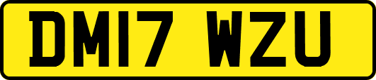 DM17WZU