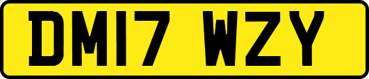 DM17WZY