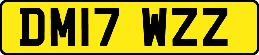 DM17WZZ