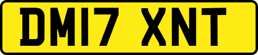 DM17XNT