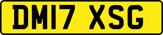 DM17XSG