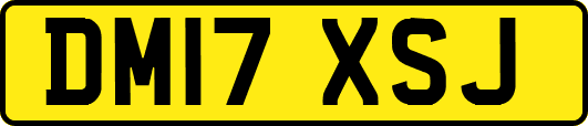 DM17XSJ