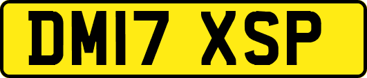 DM17XSP