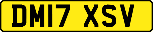 DM17XSV
