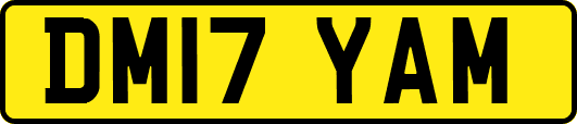 DM17YAM