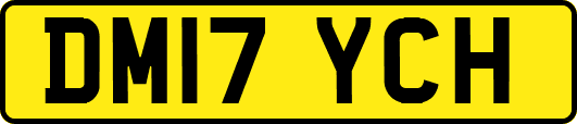 DM17YCH