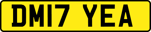 DM17YEA